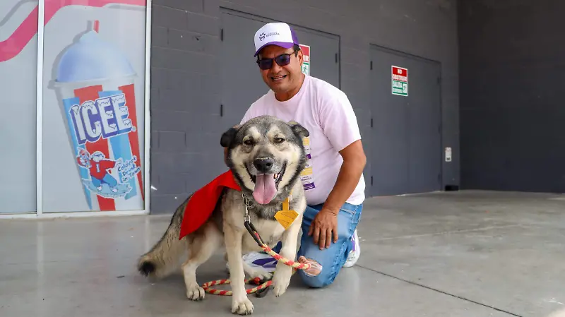 250713_ADOPCION DE PERROS HUELLITAS SEGURAS CINEDOT_IS-06